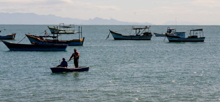 Pescadores limpam as ilhas de São Francisco do Sul